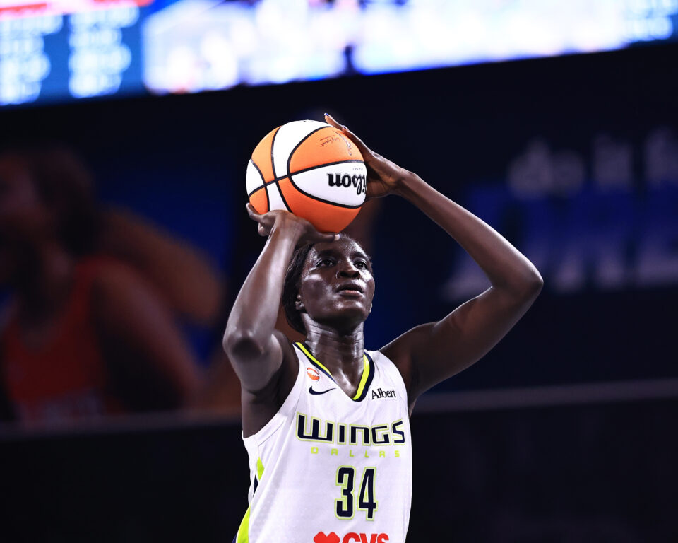 Photo Courtesy: Dallas Wings