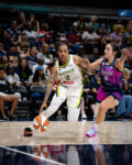 Photo Courtesy: Dallas Wings